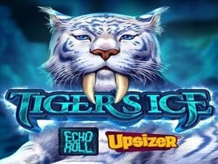 Tigers Ice game icon